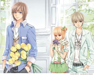蘑菇视频离线版